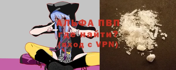 индика Майский