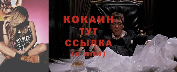 индика Майский