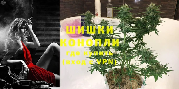 индика Майский