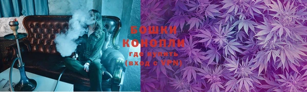 индика Майский