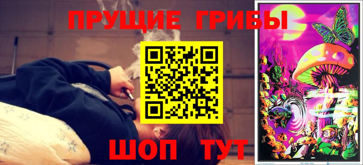 Стерлитамак  Псилоцибиновые грибы мицелий  Вход с VPN  где можно купить   Галлюциногенные грибы Magic Shrooms 