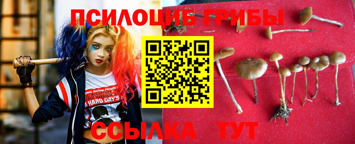 Псилоцибиновые грибы Magic Shrooms  купить  сайты  Стерлитамак  Псилоцибиновые грибы MAGIC MUSHROOMS 