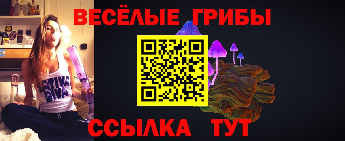 Галлюциногенные грибы прущие грибы Стерлитамак